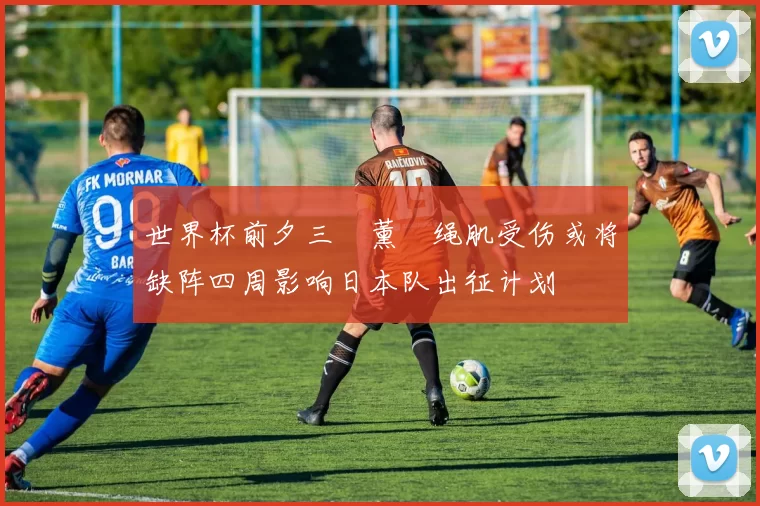 世界杯前夕三笘薰腘绳肌受伤或将缺阵四周影响日本队出征计划